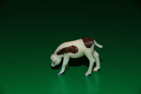Купити теля ТВАРИНИ животные Гонконг