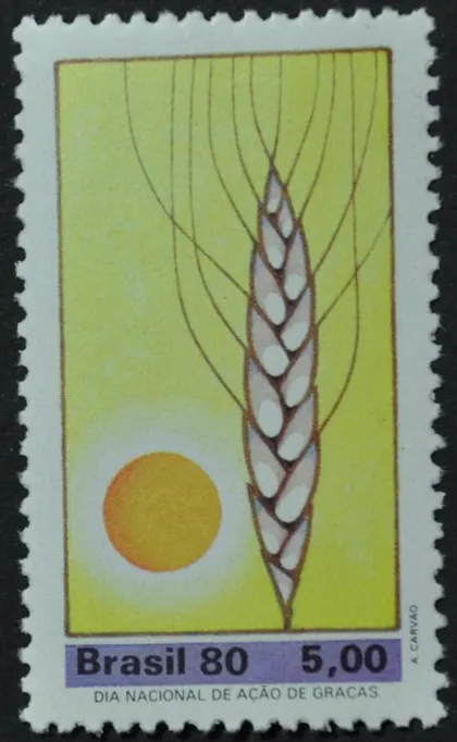 фото, Бразилия Флора 1980