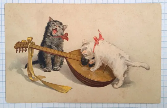 Поштова картка Котики. Пухнастий дует. Поч. ХХ ст. Данія bZ05 Ціна