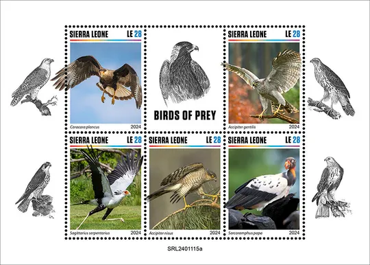 Сьерра Леоне - Птицы-Орлы -2024.Чистый полный красивый комплект.MNH Ціна