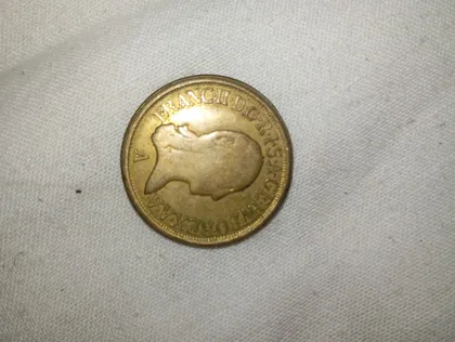 фото, Монета