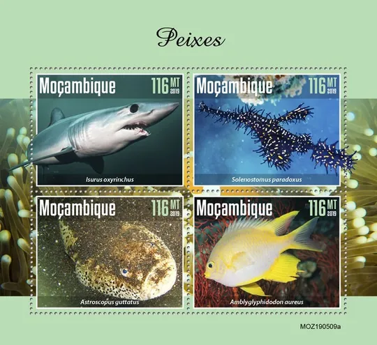 Купити Мозамбик-Рыбы-2019. Чистый полный красивый комплект. MNH.