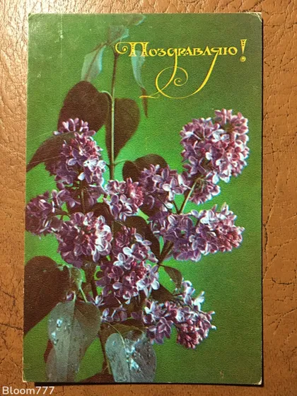 фото, Листівка чиста . Фото Костеко 1975 р. з 1 грн.