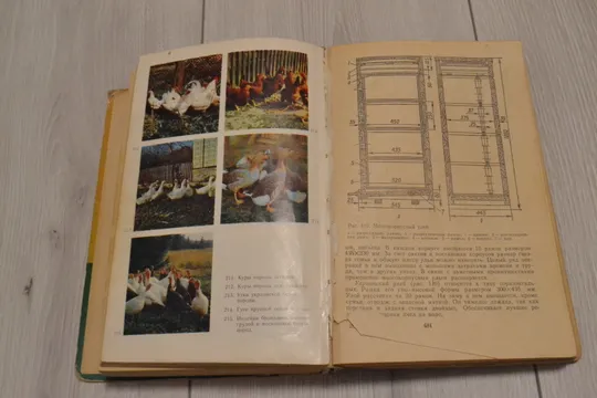 Купити Советы по ведению приусадебного хозяйства