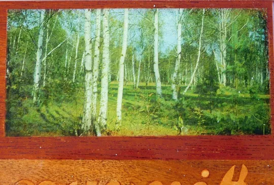 Советская Электробритва ХАРЬКОВ-102 110/220В Сувенирная Коробка 1970-х #3 На торгах