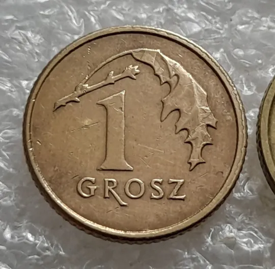 (6858) 1 грош 2014 (старий та новий тип) Польща, Польша, Polska Де купити