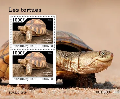 фото, Бурунди -Черепахи-2022.Чистый полный комплект.MNH.