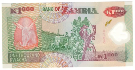 Купити 1000 квача 2009 року UNC Замбія Полімер