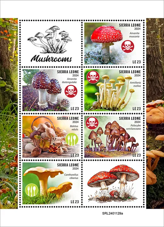 Сьерра Леоне -Ядовитые Грибы-2024.Чистый полный красивый комплект.MNH Ціна
