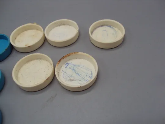 Шашки голубые 12 шт и белые 5 шт пластик №15975 Недорого