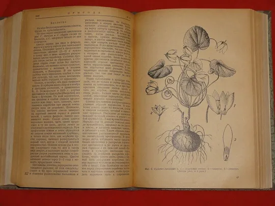 Природа. Піврічна підшивка. 1936р. Недорого