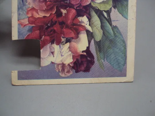 Открытка душистый горошек фото Г. Костенко редактор И. Бажора 1968 год  №18048 З аукціону