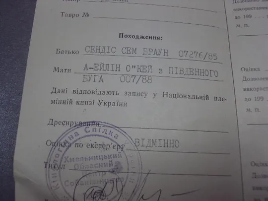 сертификат на право племенной деятельности кинологический центр №4263 Характеристики