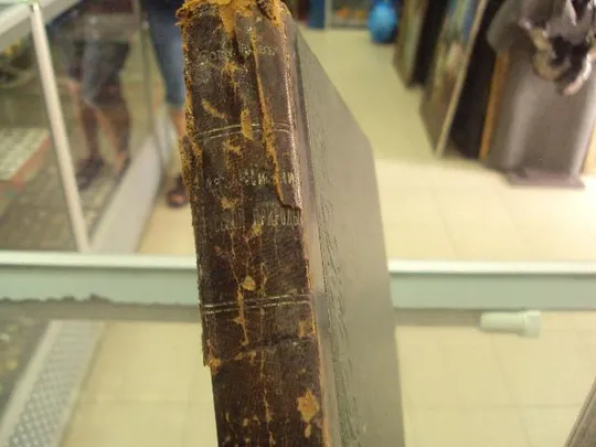 книга богданов из жизни русской природы спб 1904 №42 Інтернет-аукціон