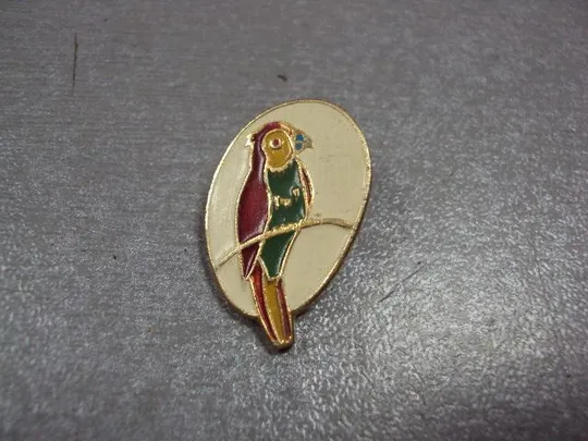 знак детский птица попугай лот 3 шт №8625 Продаж