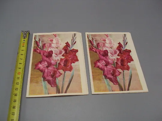 Открытка телеграмма цветы фото Г. Костенко худ.ред. Б. Трифонов 1973 год лот 2 шт №16154 Ціна