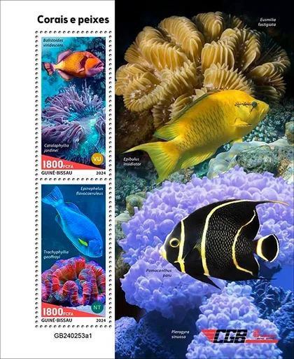 фото, Гвинея Бисау-Рыбы и Кораллы-2024. Чистый полный комплект.MNH.