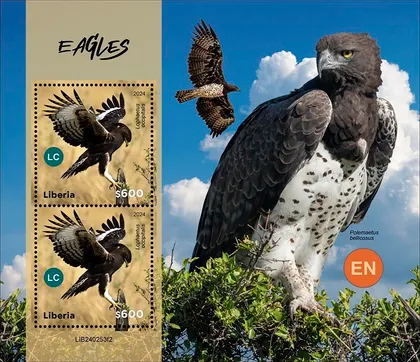 фото, Либерия-Птицы Орлы-2024. Чистый полный красивый комплект. MNH.