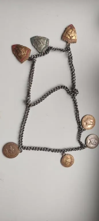 Медали на собаку на толстой цепи, 1970-е годы СССР , федерация служебного собаководства kd264 Ціна