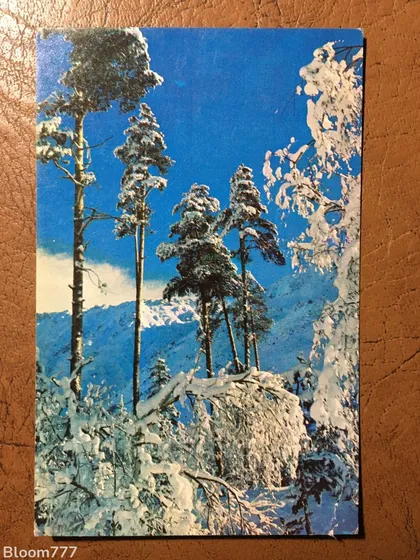 фото, Листівка чиста . Фото Гридіна 1974 р. з 1 грн.
