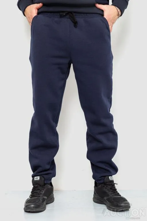Спорт штаны мужские на флисе, цвет темно-синий, 241R001 Ціна