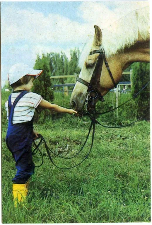 Календарик карманный Мальчик и конь 1989 Ціна