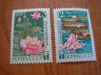 фото, 1966.ссср