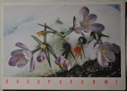 фото, СССР Поздравляю 1968