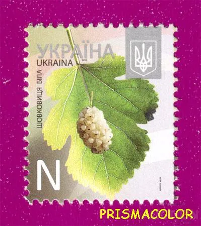 фото, ** УКРАИНА 2013 N1270 марка 8-ой Стандарт ЛИТЕРА N Шелковица белая Флора