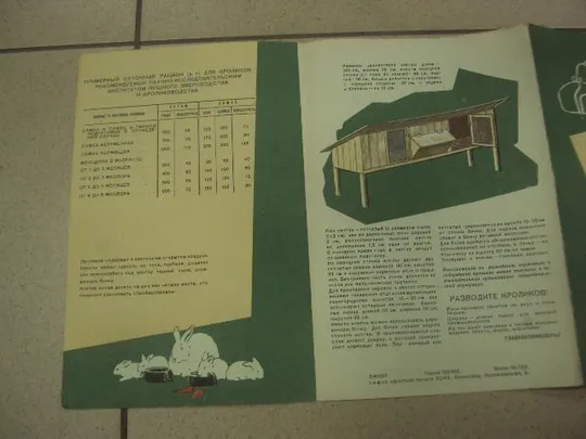 книга альбом разводите кроликов 1961 салапина №13356м З аукціону