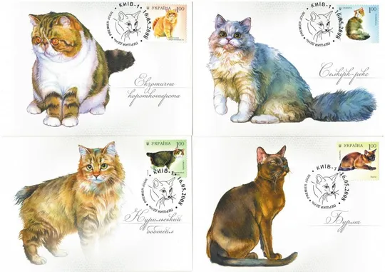 Кішки. КМ. Комплект. 2008 рік. Україна Де купити