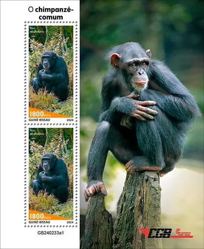 фото, Гвинея Бисау-Шимпанзе-2024. Чистый полный комплект.MNH.