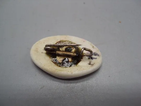 Знак фарфор Участник спартакиады Гитлерюгенд 1934 год Германия Рейх 21 juni 1934 №10207 Продаж