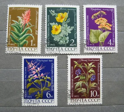 фото, ЛЕКАРСТВЕННЫЕ РАСТЕНИЯ = 1972 р. = гаш. &