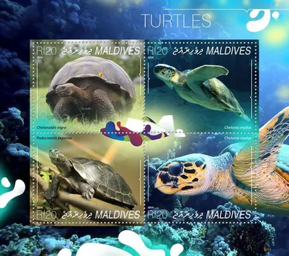 фото, Мальдивы-Черепахи-2014.Чистый полный красивый комплект.MNH.