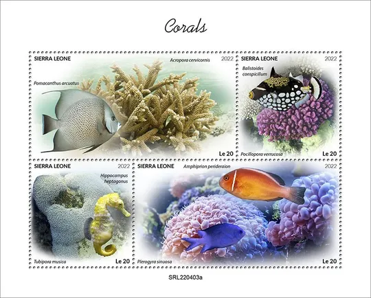 Сьерра Леоне-Рыбы и Кораллы-2022.Чистый полный красивый комплект.MNH. Продаж