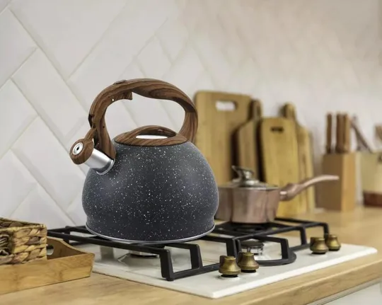 Чайник со свистком Gusto Пират GT-1411-30 3 л Ціна