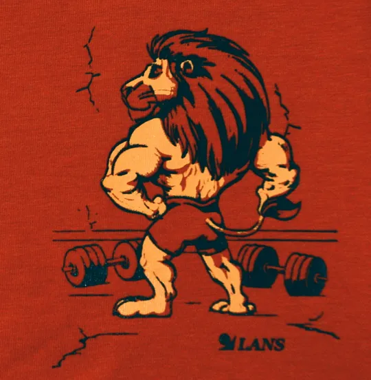 Купити Чоловічі подовжені шорти транки Lans Лев 06/012 цегла червоні