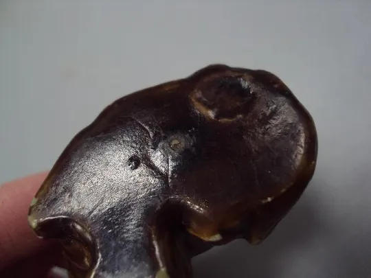 Фигура пластик статуэтка миниатюра лошадь конь лошадка сувенир размер 3,1 х 4,3 см №14178 З аукціону