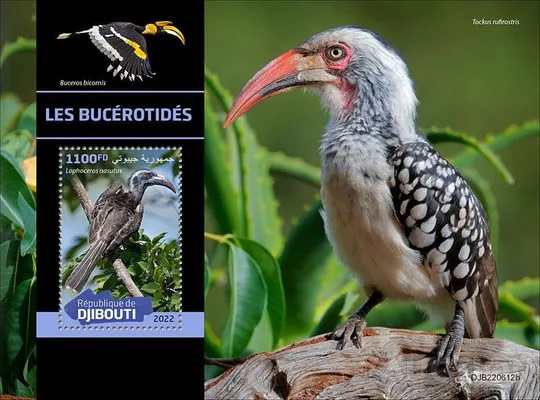 Джибути Птицы - 2022.Чистый полный красивый комплект. MNH. Ціна