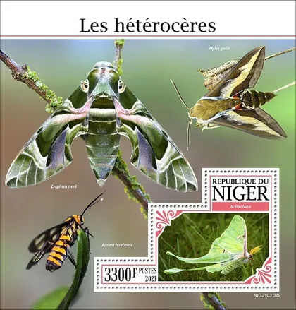 фото, Нигер-Моль-2021. Чистый полный красивый комплект. MNH.