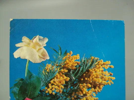 Купити Открытка 8 марта цветы розы и мимозы авторы К. Шамшин и Р. Якименко 1974 год №17880