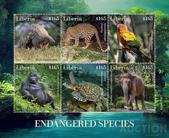 Купити Либерия-Фауна под угрозой -2022.Чистый полный красивый комплект.MNH.