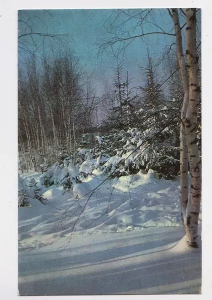 фото, З НОВИМ РОКОМ - С НОВЫМ ГОДОМ = 1971 р. = КОСТЕНКО = чиста ==