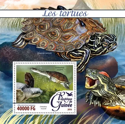 фото, Гвинея -Черепахи-2016.Чистый полный комплект.MNH.
