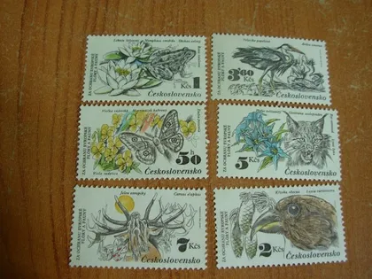 фото, 1983.Чехословаччина.