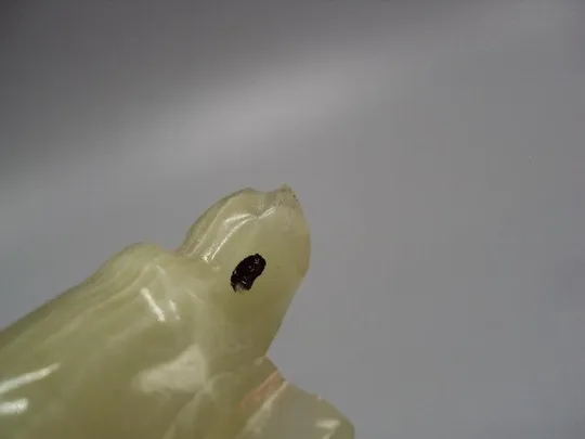 Фигура миниатюра статуэтка черепаха камень черепашка 2,1 х 4,9 см (есть сколы) №10550 Де купити