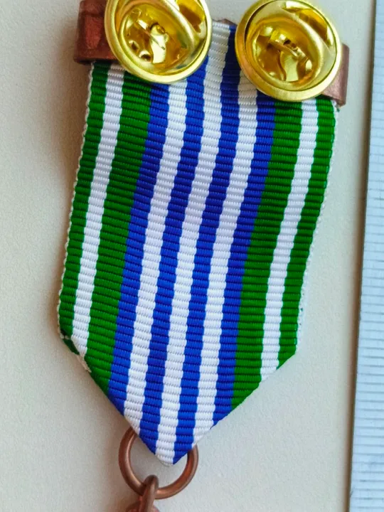 Відзнака , ЗА СУМЛІННУ СЛУЖБУ, Державна митна служба України! Продаж