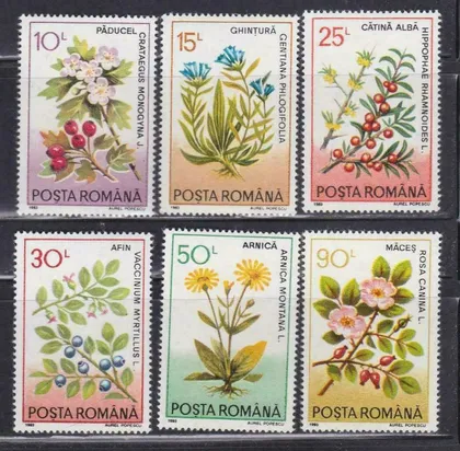 фото, Румыния Флора Цветы 1993