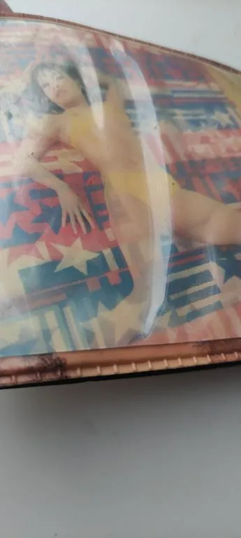 Купити Винтажный Кошелек с переливающейся картинкой - Девушка в купальнике и без него,ft245